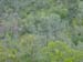 Spring IVR 2005 (82)