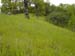 Spring IVR 2005 (86)