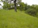 Spring IVR 2005 (87)