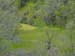 Spring IVR 2005 (92)